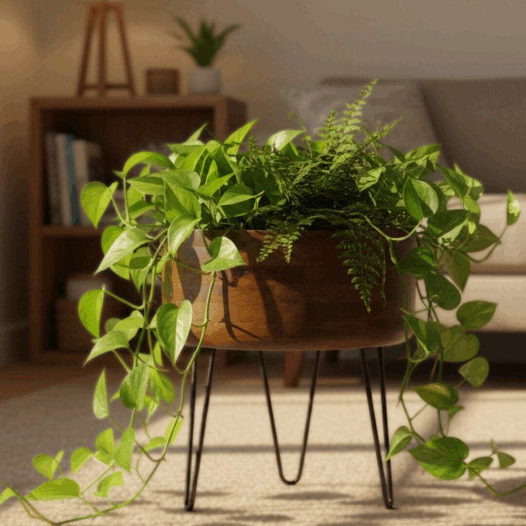 extra large plant stand indoor Handmade Mango Wood Planter Removable Iron Stand Extra-Large – Sundara – Sundara Shop